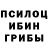 Псилоцибиновые грибы прущие грибы 3twee1970