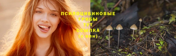 СК Верея